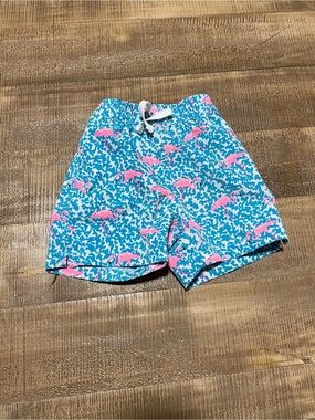 Chubbies toddler Blue & Pink Flamingo Swim Shorts